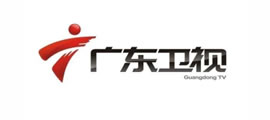 廣東衛視